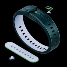 RFID Wristbands